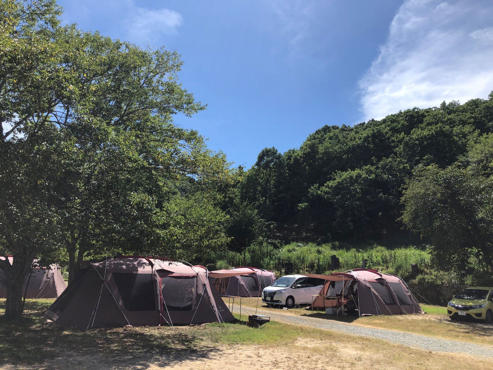 キャンプ場