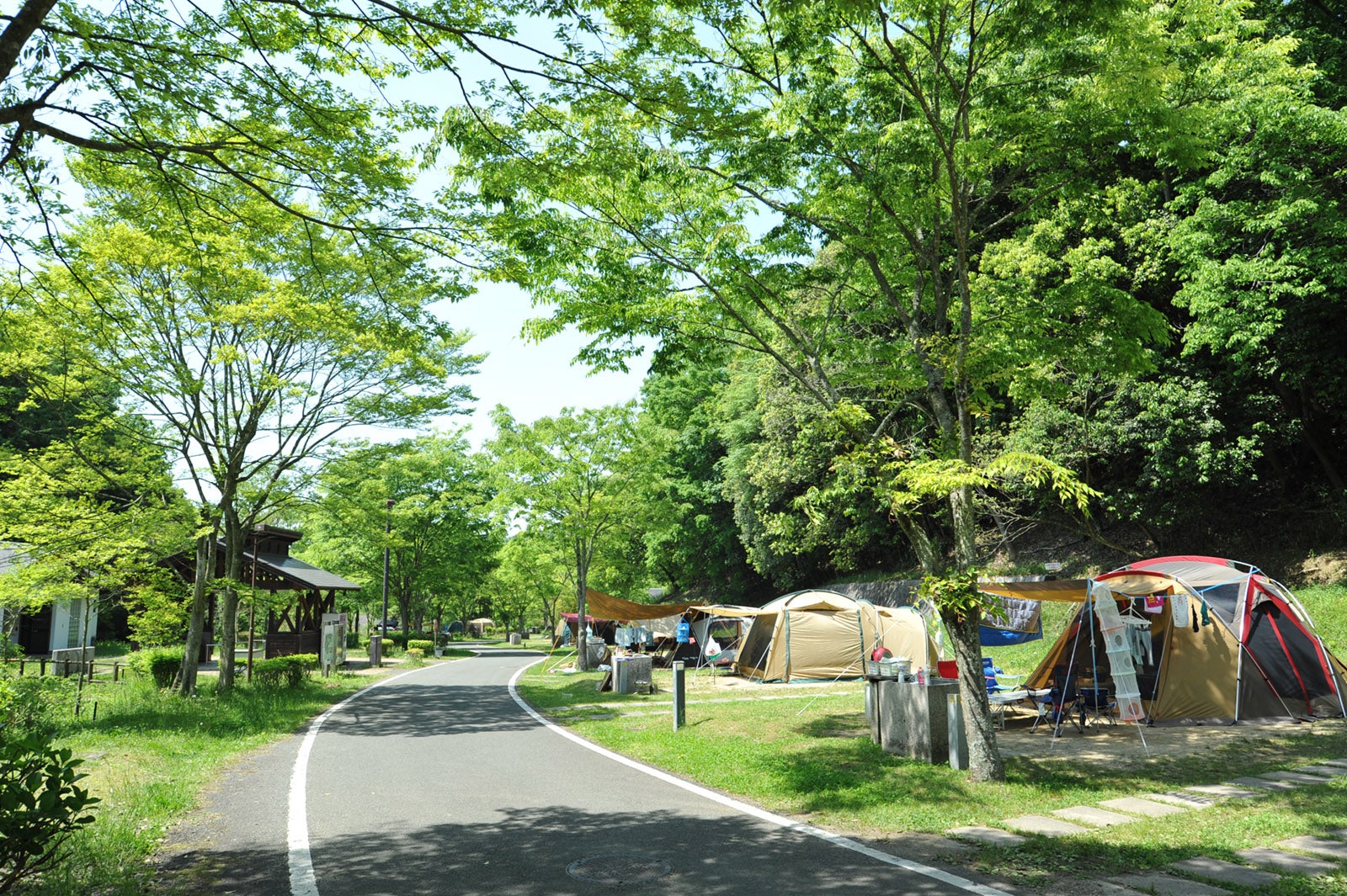 キャンプ場