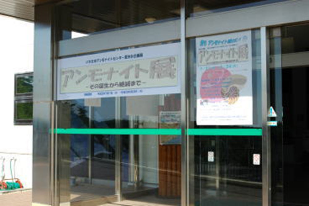 夏の企画展イメージ