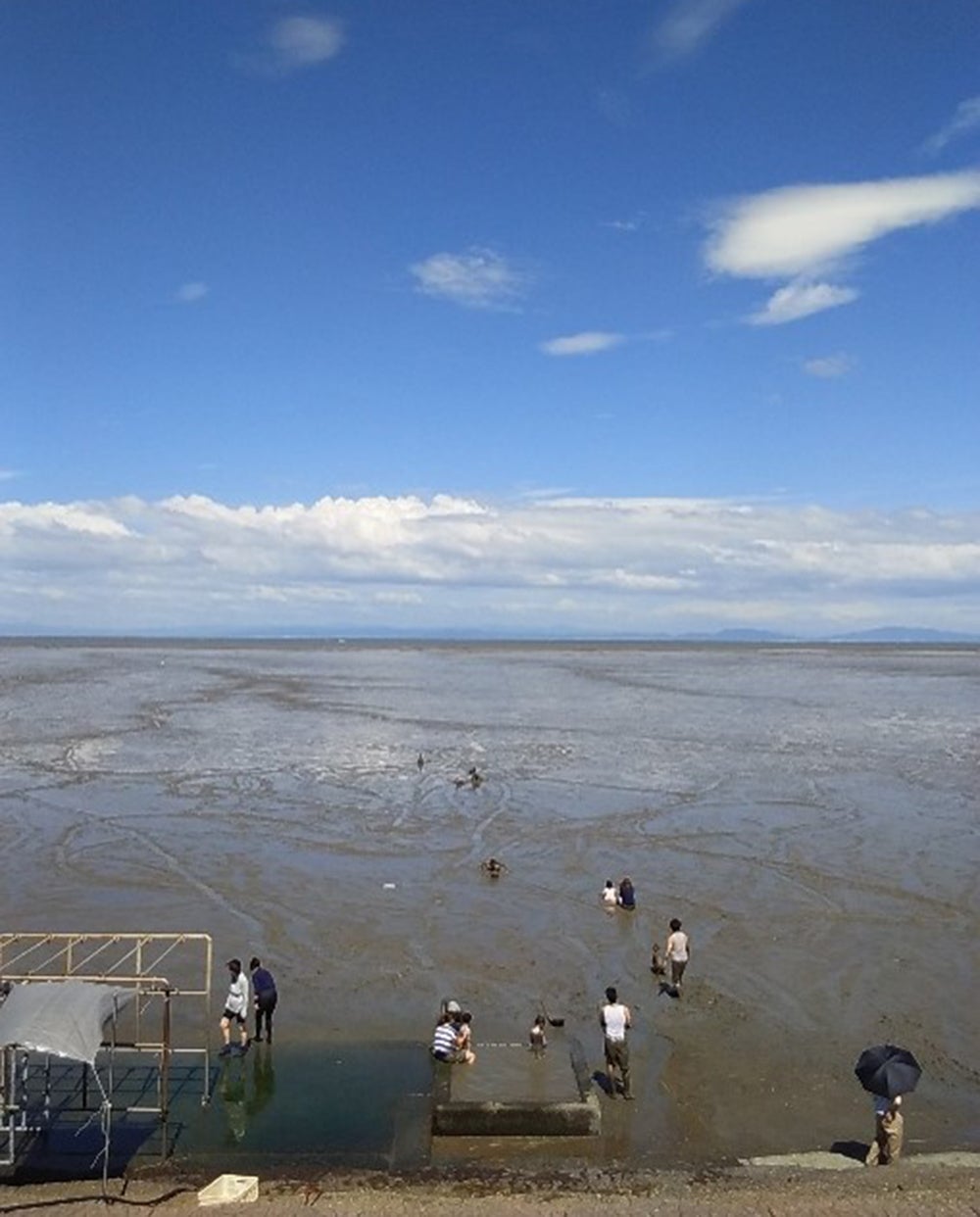 有明海の干潟