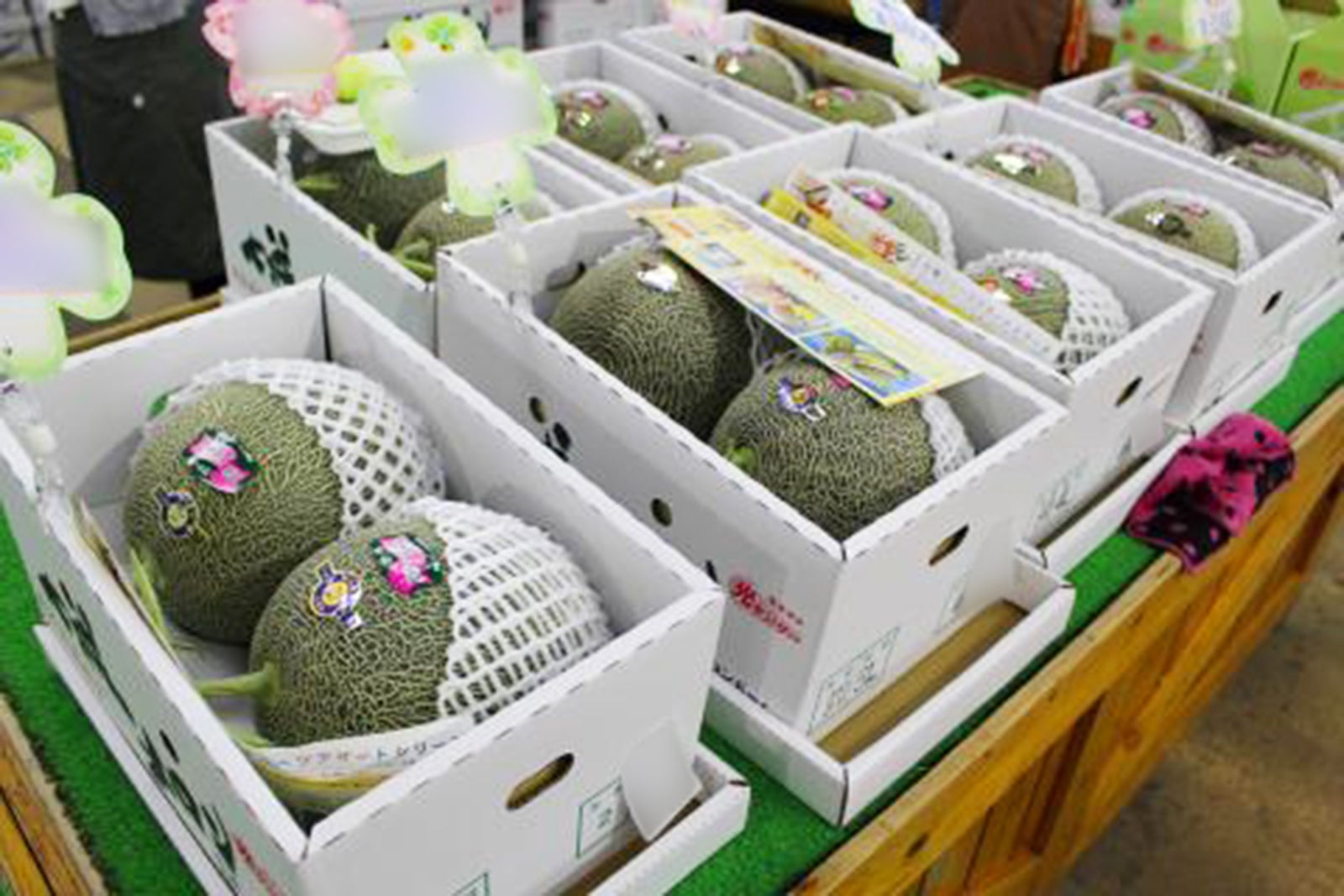 道の駅七城メロンドームのメロン売り場