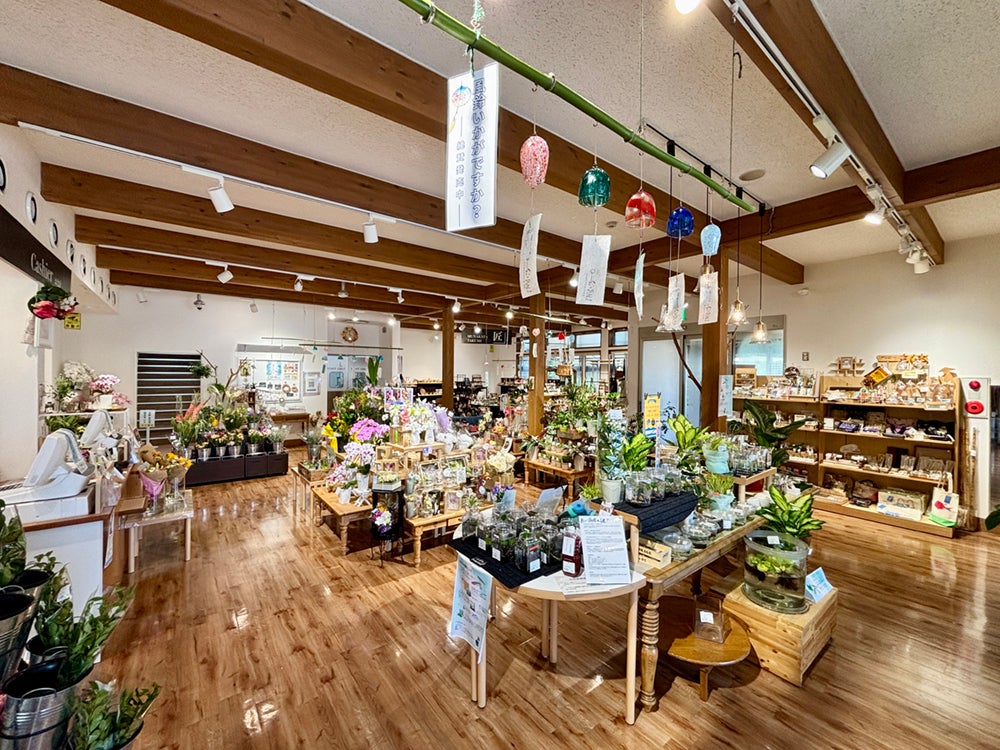 道の駅むなかたで販売されているお花