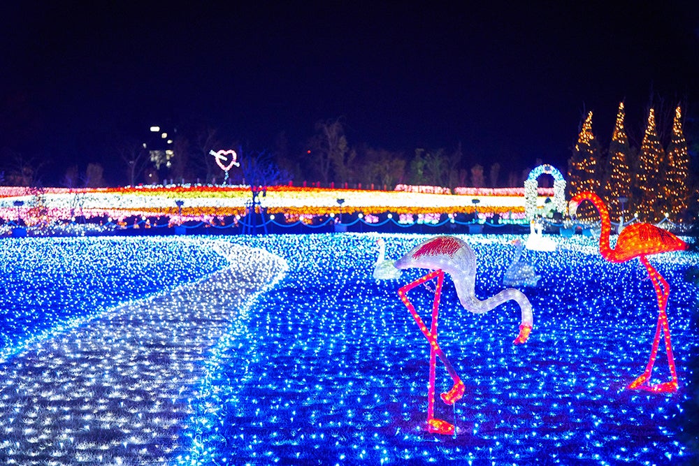 園内のイルミネーション