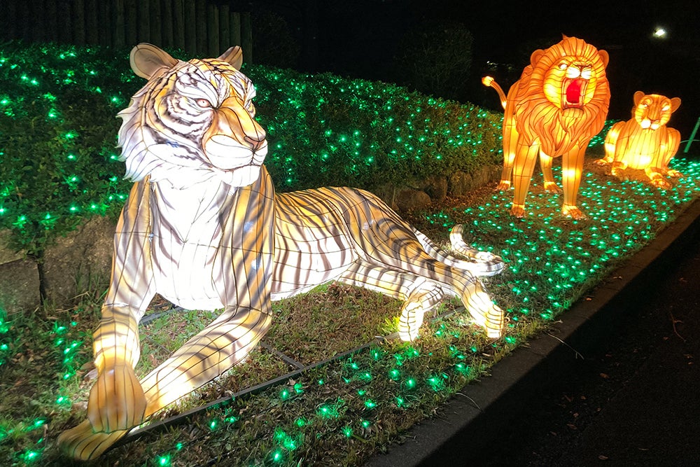 トラとライオンのLEDランタンイルミネーション