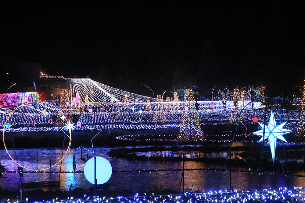 園内のイルミネーション