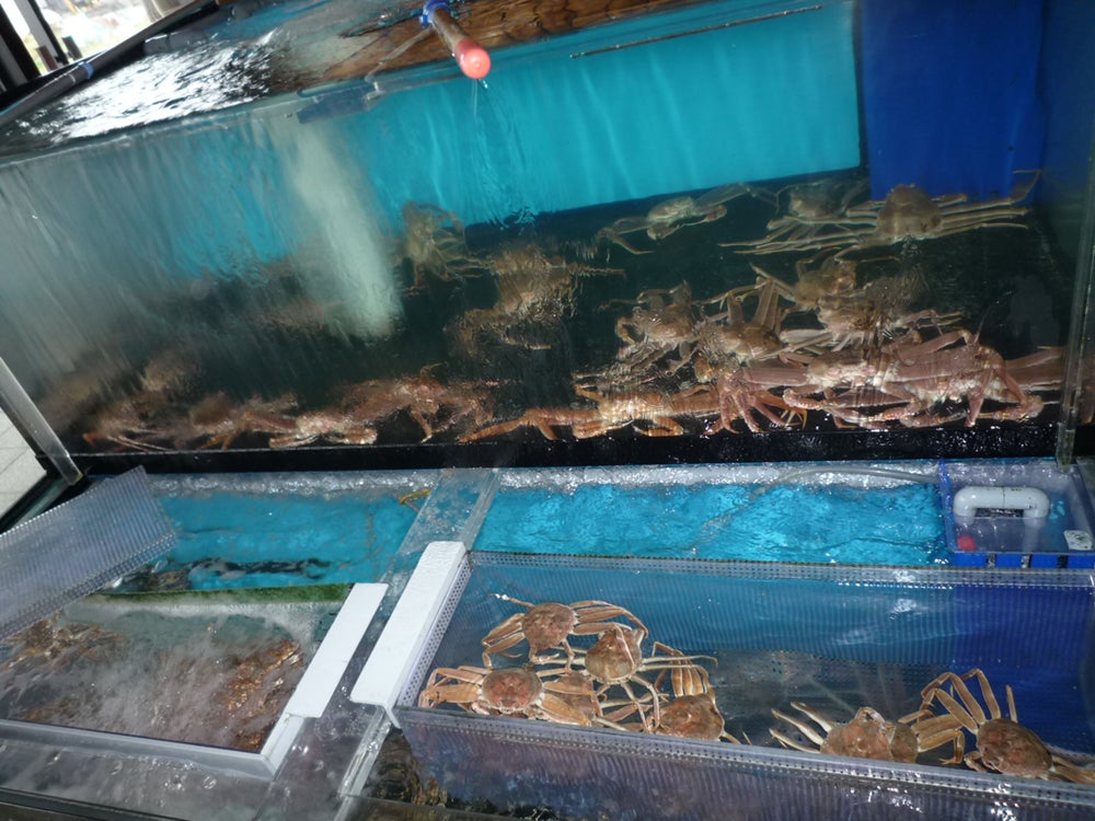 生け簀の加能ガニ