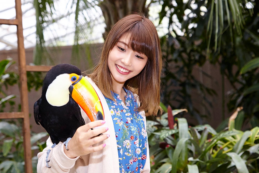 鳥とのふれあい体験の様子