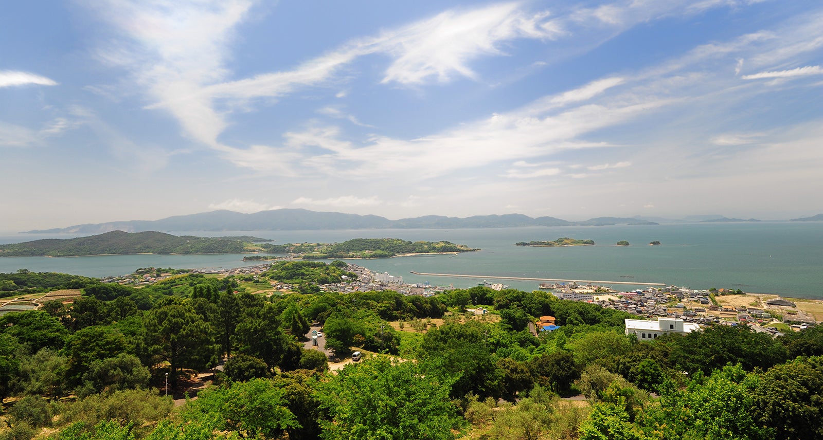 オリーブ園遠景