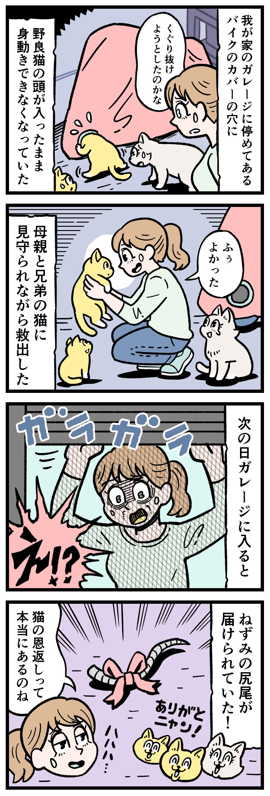 【実話怪談漫画】バイクカバーの水抜き穴に挟まり、身動きが取れなくなった子猫を救出した。翌朝、ガレージに入るとそこには信じられない「贈り物」が……。猫の恩返しは本当にあるのか？心温まる不可解な実体験を漫画家。Google Discoverで話題の本当にあった怪談連載。