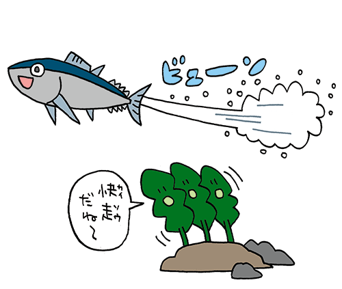 賞金クロスヒントのイラスト