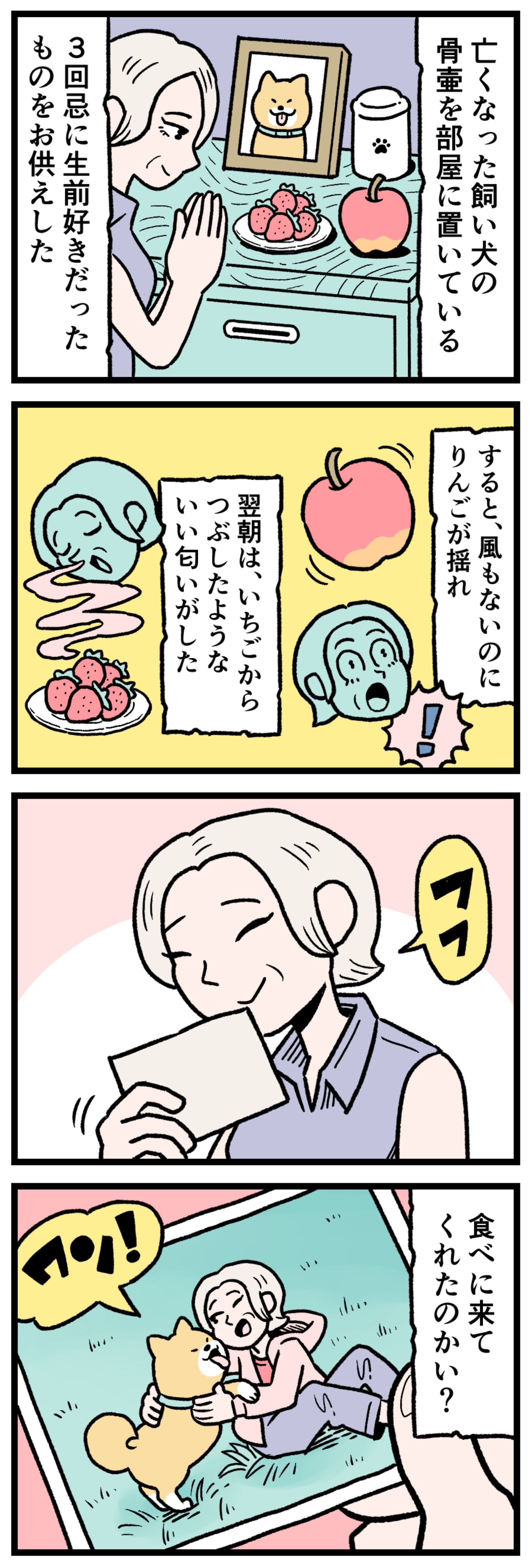 【実話漫画】部屋に置かれた愛犬の骨壺の前に、生前好きだったりんごといちごがお供えされているイラスト。風もないのに果物が小さく揺れ、翌朝には甘い香りが漂う不思議な現象。ペットとの絆、スピリチュアルな体験を描いた心温まる感動漫画の1コマ。ミが、次第に巨大化して黒髪の女性の頭部へと変異していく、実話怪談漫画の戦慄の1シーン。