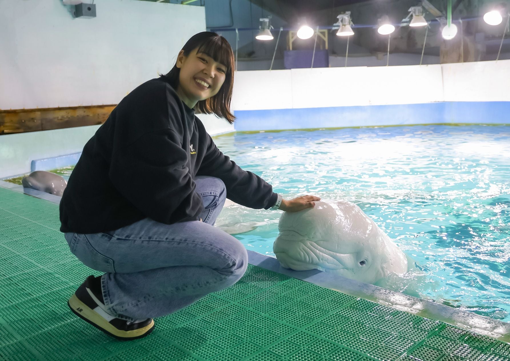 ベルーガにタッチする女性
