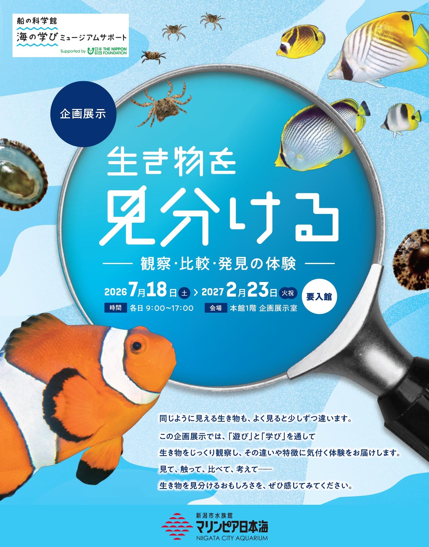 企画展示「生き物を見分ける」の案内