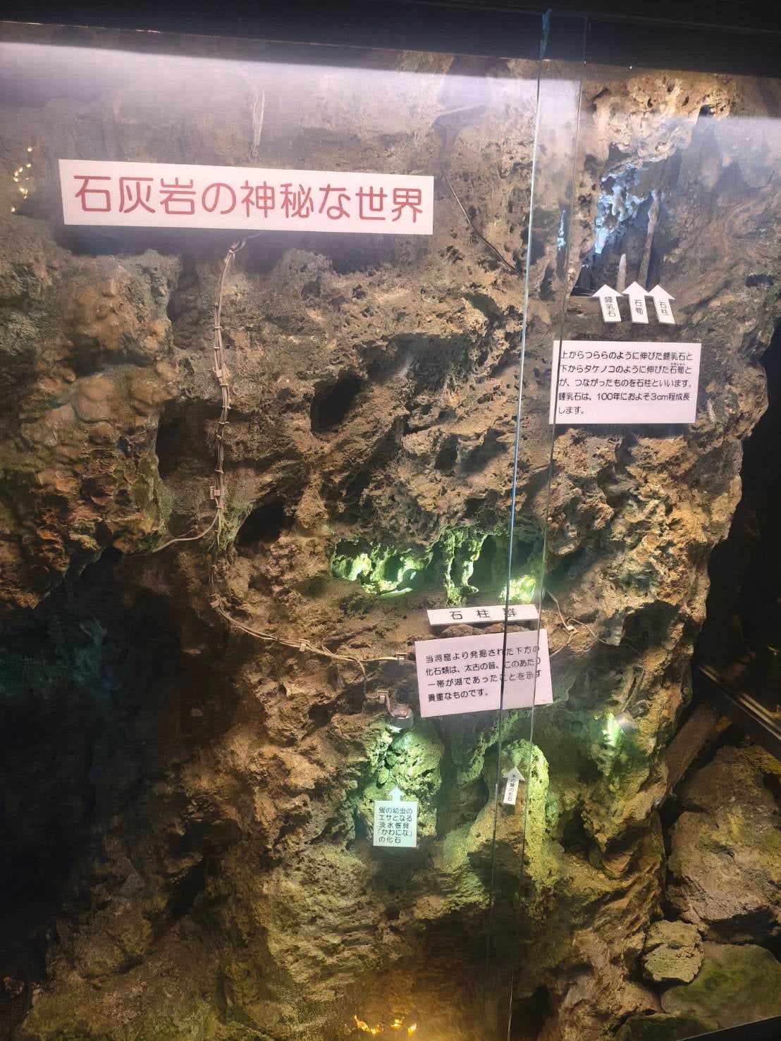 鍾乳洞の成り立ちを解説する展示