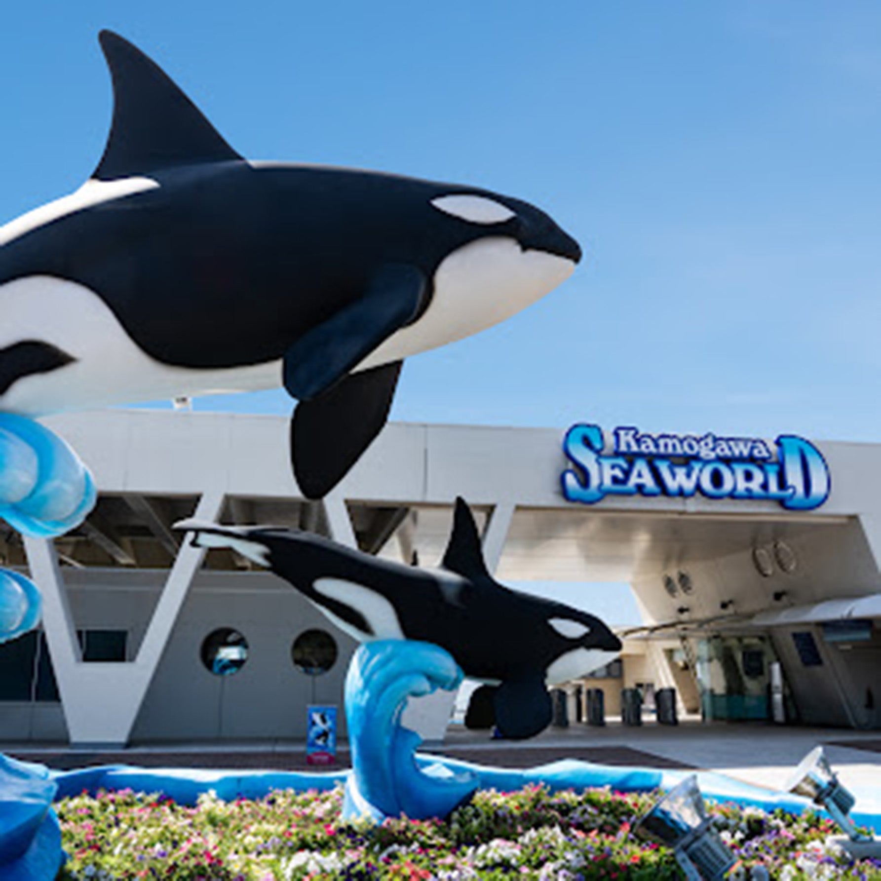 水族館の外観