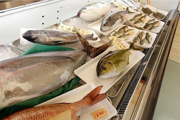 鮮魚店に並ぶ朝どれの魚