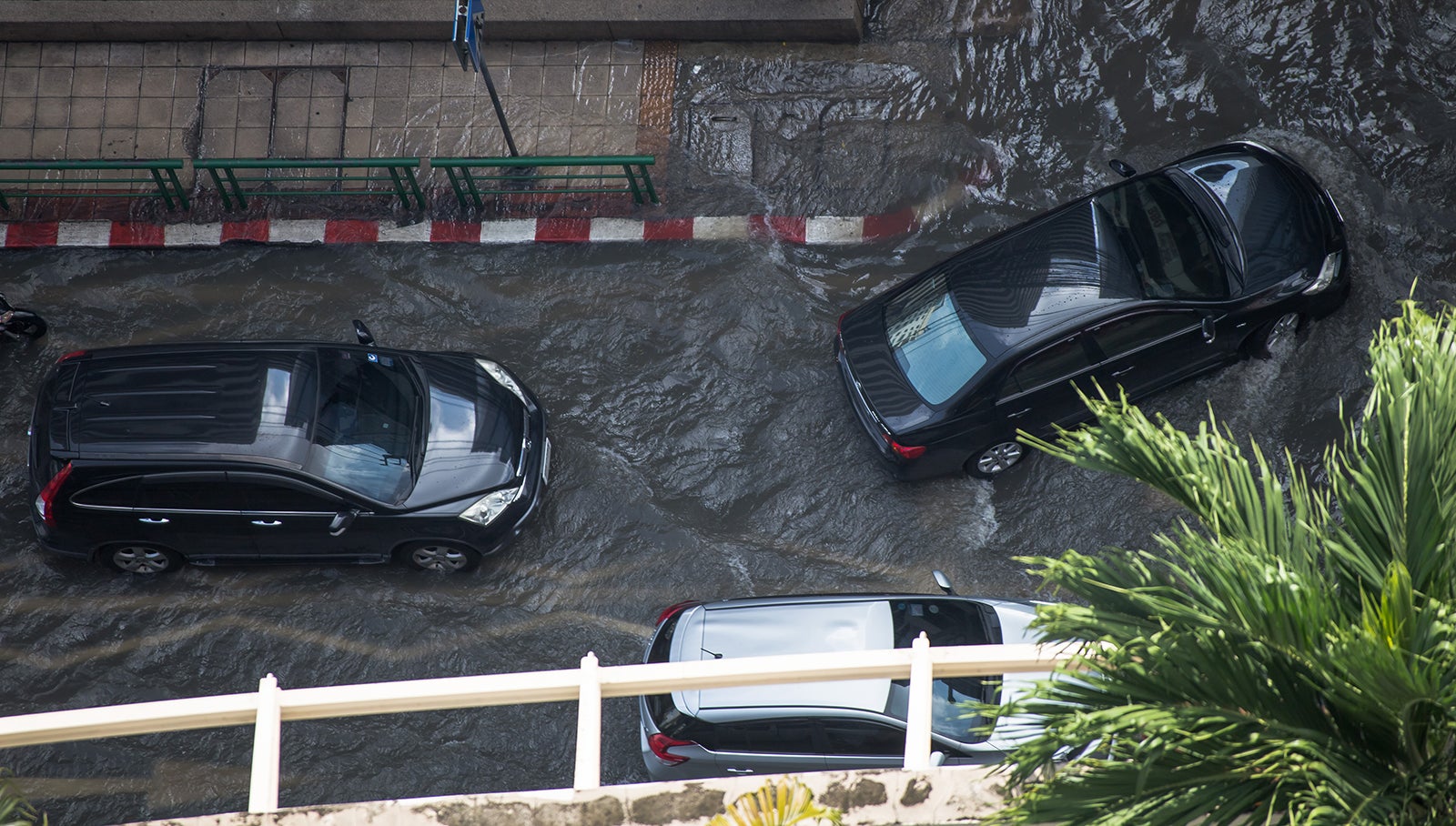 浸水した市街地を走る車の画像