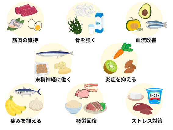 腰痛予防に効果的な食品のイラスト