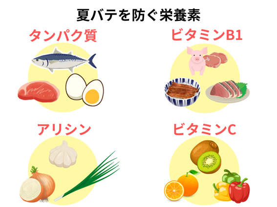 夏バテを防ぐ栄養素と食事イラスト
