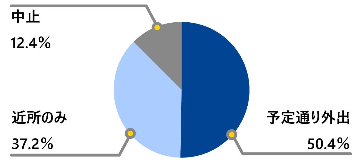 豪雪エリアの降雪時の運転行動円グラフ