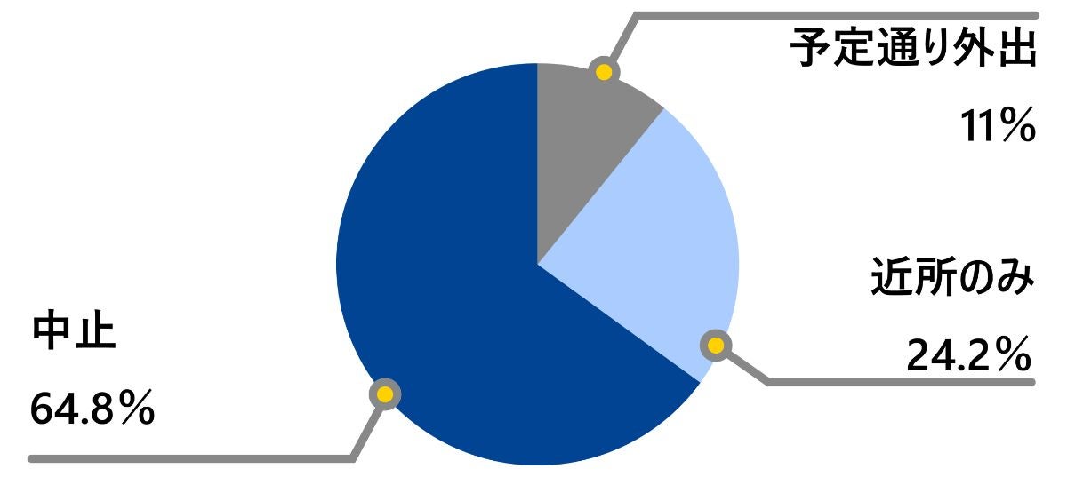 大都市エリアの降雪時の運転行動円グラフ