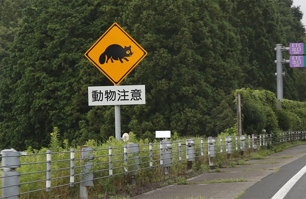 高速道路に設置されている動物注意の標識