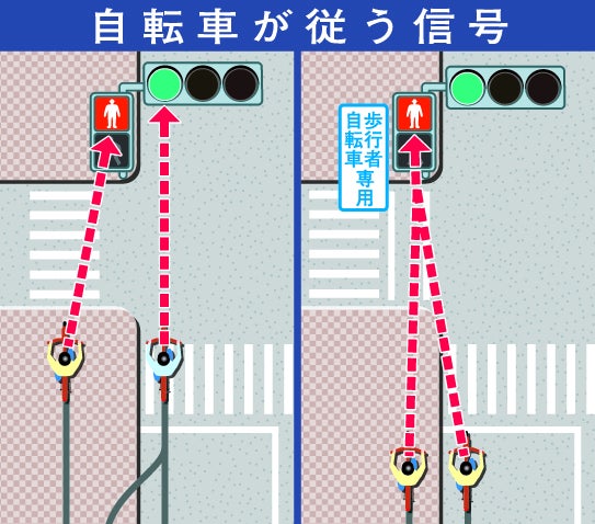 自転車が従う信号の解説イラスト