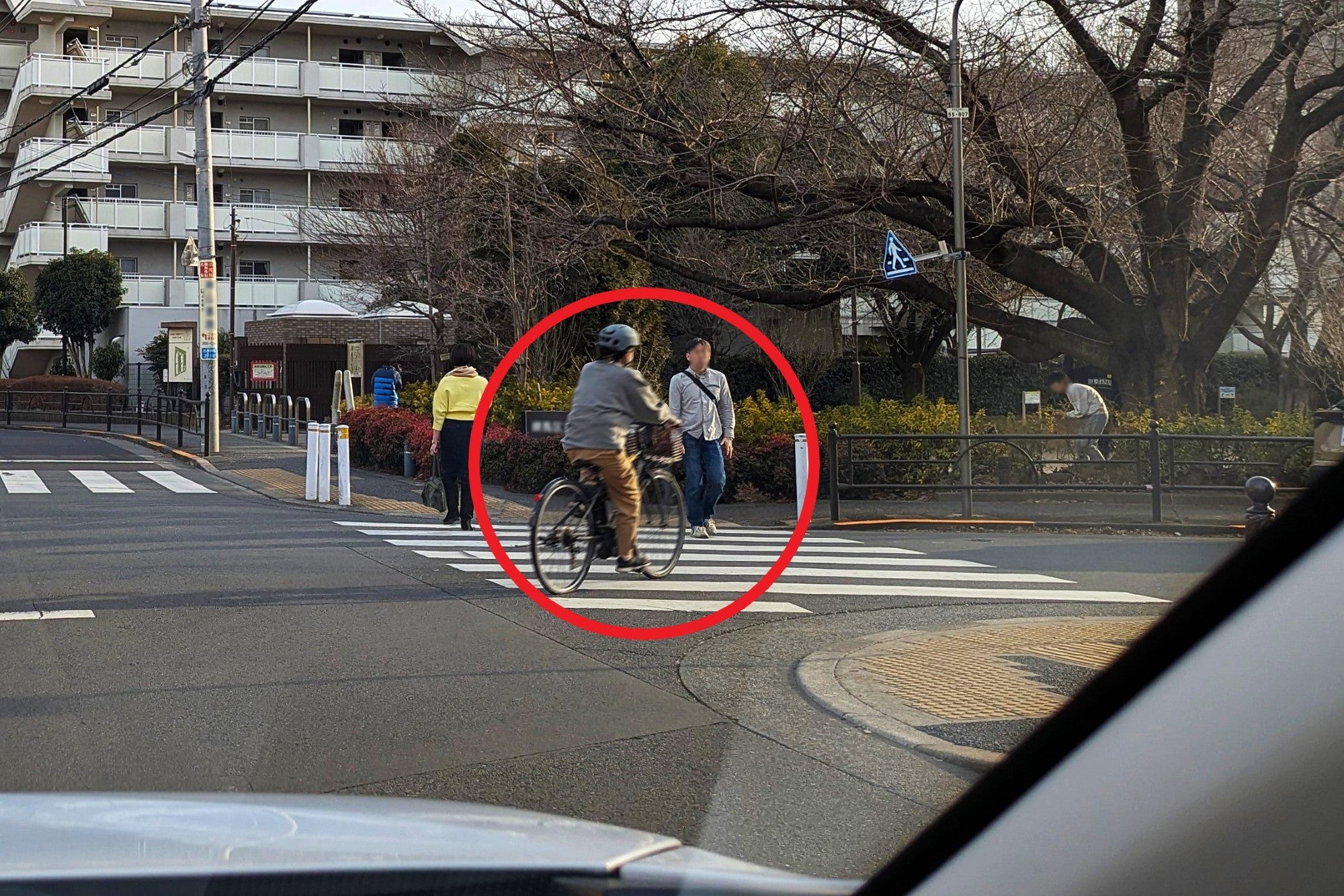 横断歩道を渡る歩行者の前を横切る自転車