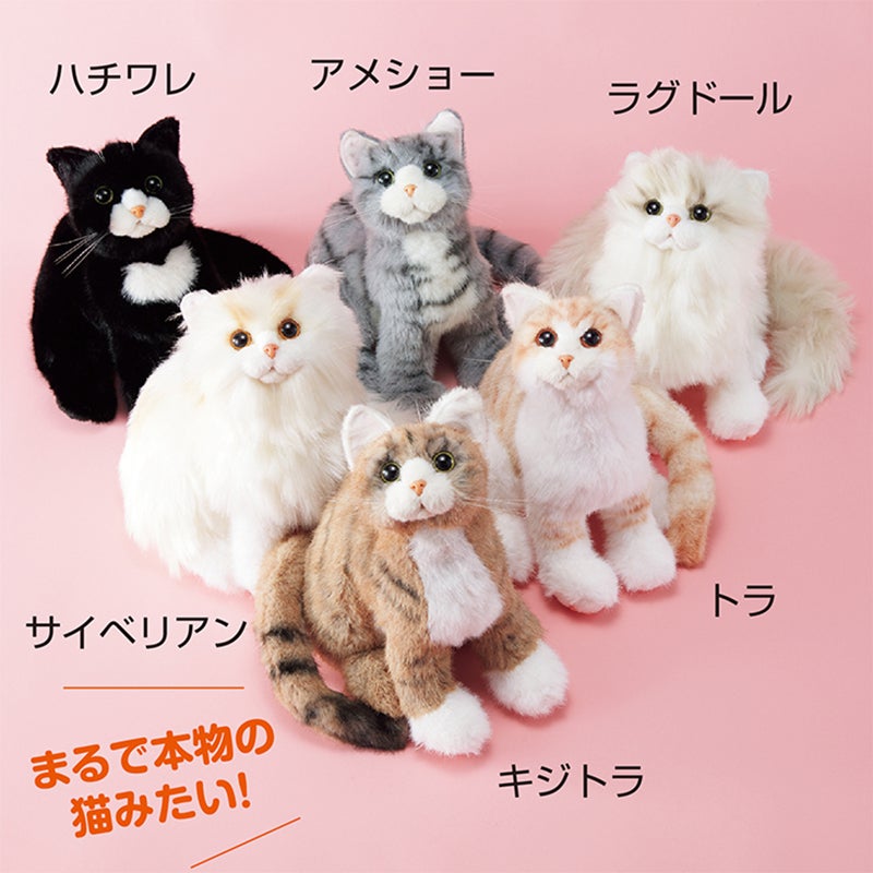 なでなでねこちゃん 子猫ちゃん