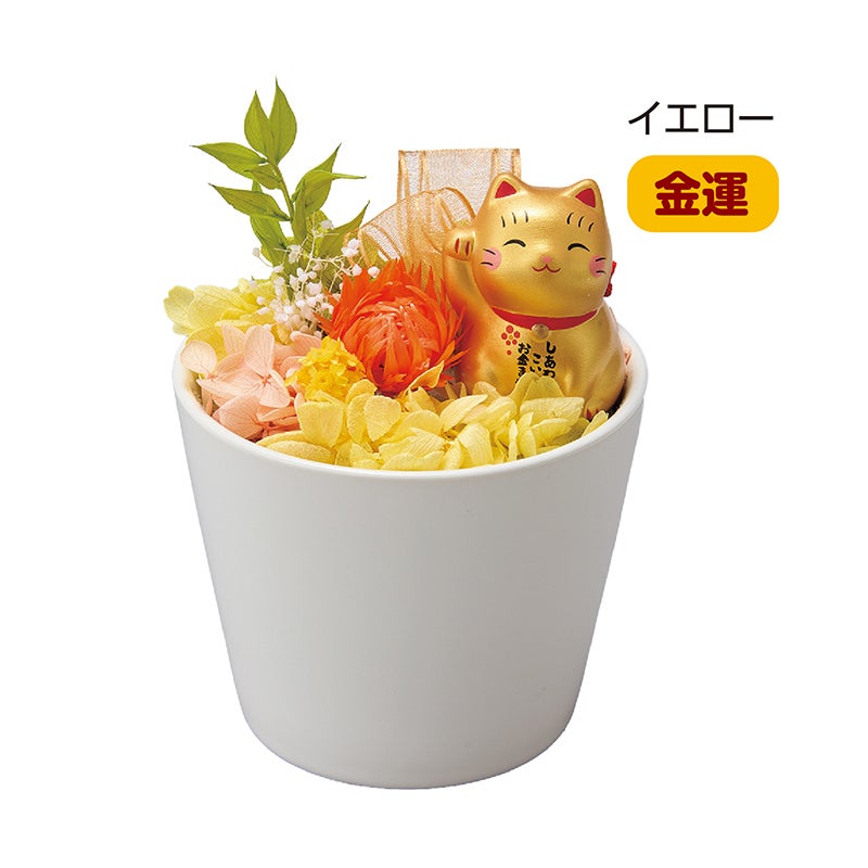 招福招き猫プリザーブドフラワー